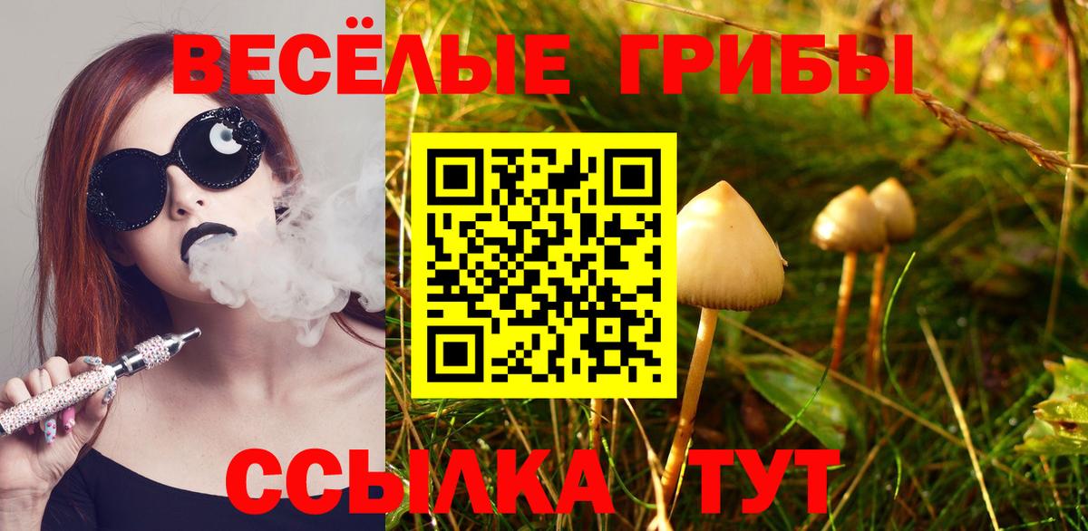 Дзержинский  Галлюциногенные грибы прущие грибы  Вход с VPN 