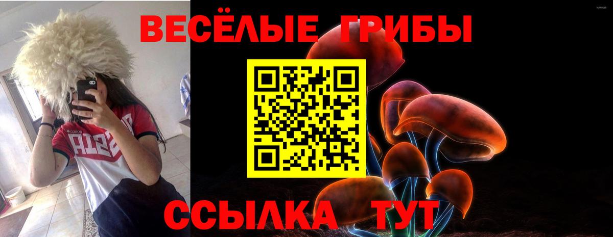 Галлюциногенные грибы прущие грибы Дзержинский